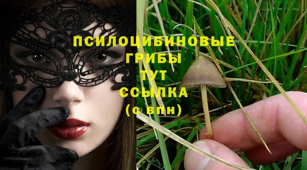 ГАЛЛЮЦИНОГЕННЫЕ ГРИБЫ Арсеньев